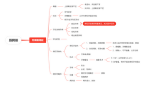 唇颚裂思维导图