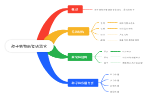 种子植物的繁殖器官