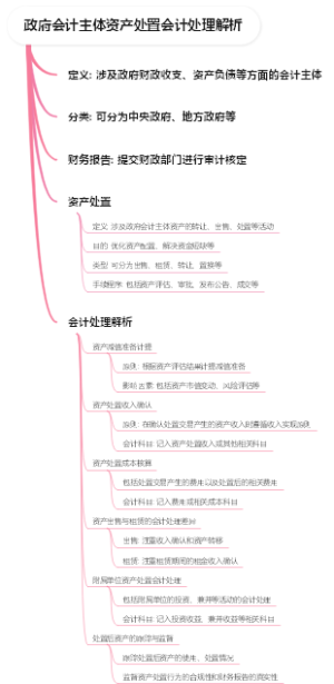 政府会计主体资产处置会计处理解析