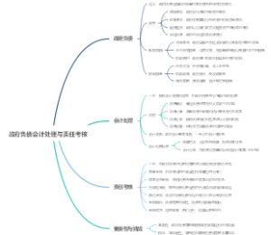 政府负债会计处理与责任考核