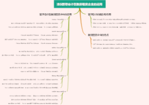 浅议管理会计在融资租赁企业的运用
