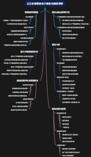 公立医院管理会计信息化建设探析