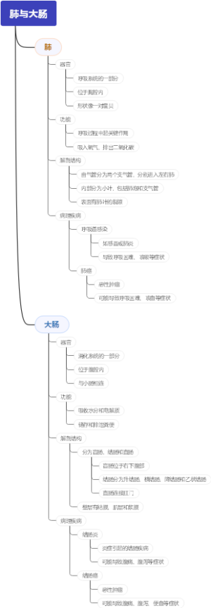 肺与大肠