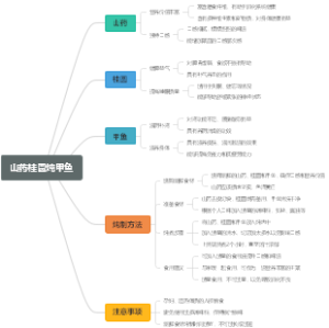 山药桂圆炖甲鱼