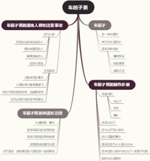车前子粥
