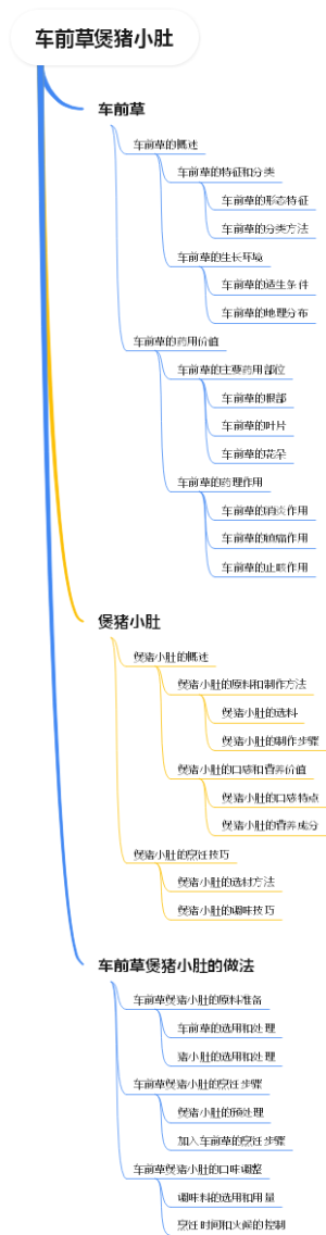 车前草煲猪小肚