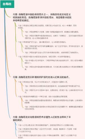 白梅花