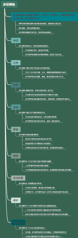 赤豆鲤鱼