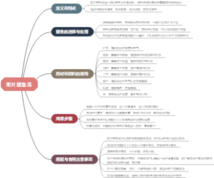 附片鲤鱼汤