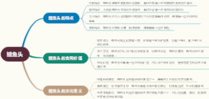 鳢鱼头