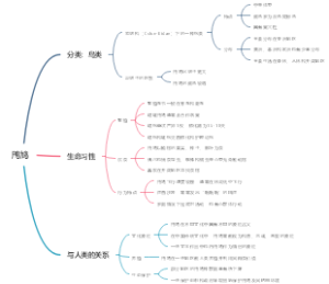 鸤鸠