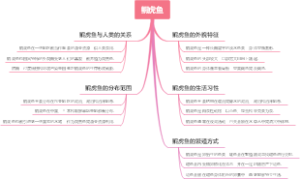 鰕虎鱼