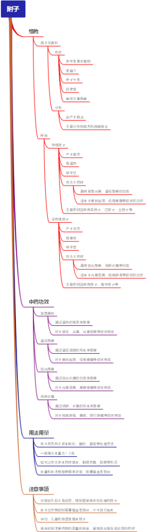 附子