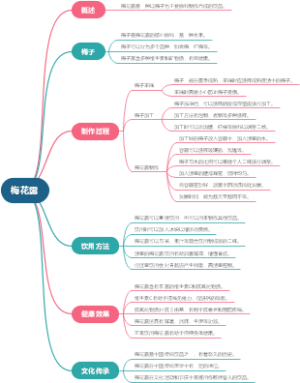 梅花露