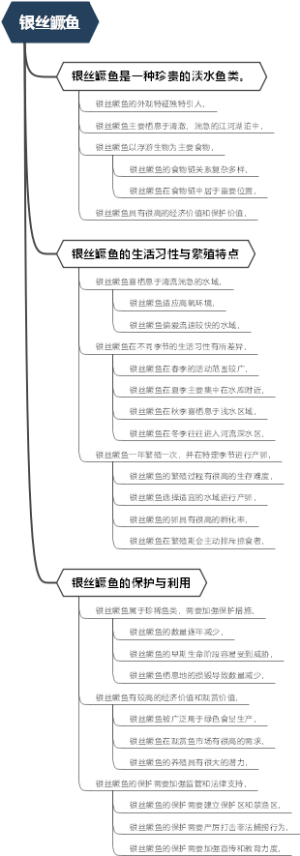 银丝鳜鱼