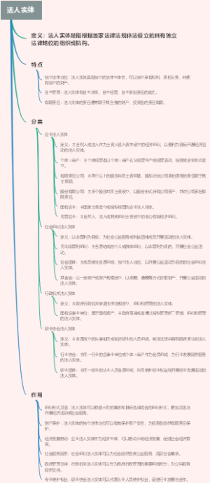 法人实体