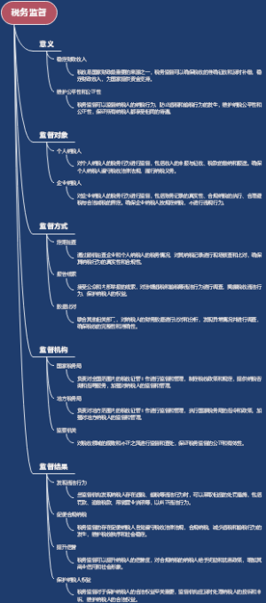 税务监督