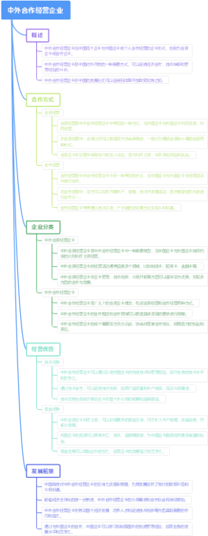 中外合作经营企业