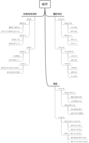 榆叶