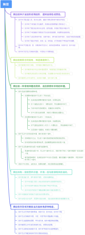 豌豆