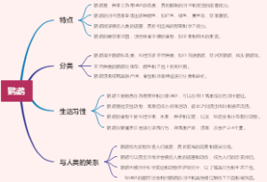 鹦鹉