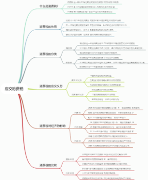 应交消费税