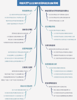 中国天然气企业海外投资风险及控制策略