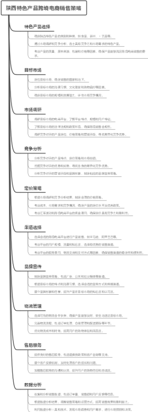 陕西特色产品跨境电商销售策略