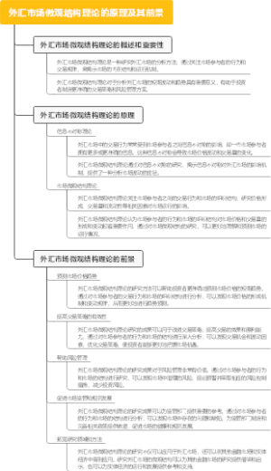 外汇市场微观结构理论的原理及其前景