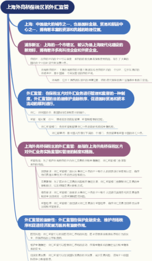 上海外高桥保税区的外汇监管