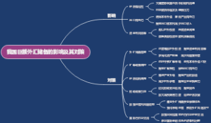 我国巨额外汇储备的影响及其对策