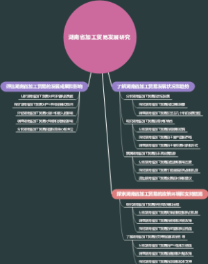 湖南省加工贸易发展研究