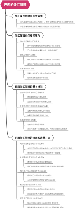 巴西的外汇管理