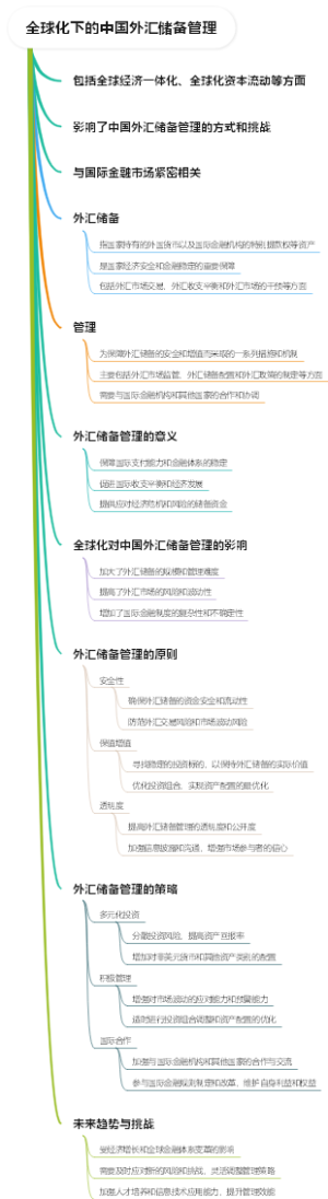 全球化下的中国外汇储备管理