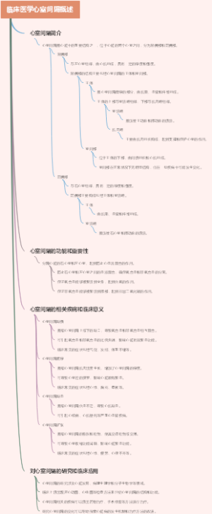 临床医学心室间隔概述