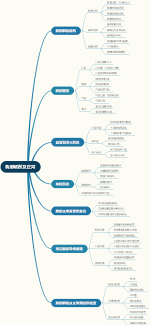 胸部解剖及正常