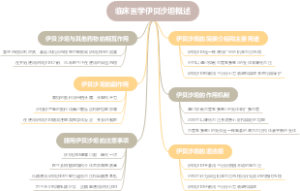 临床医学伊贝沙坦概述