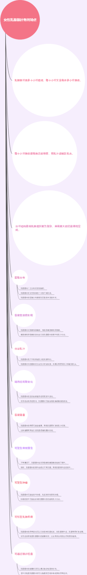 女性乳腺腺叶有何特点