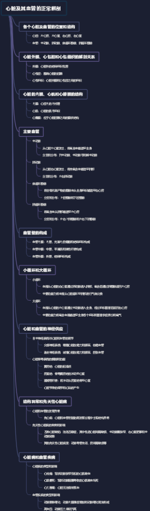 心脏及其血管的正常解剖