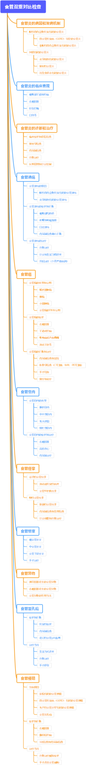 食管双重对比检查