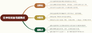 交界处双重性起搏点