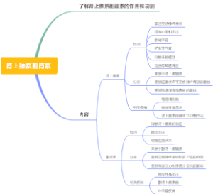 肾上腺素副肾素