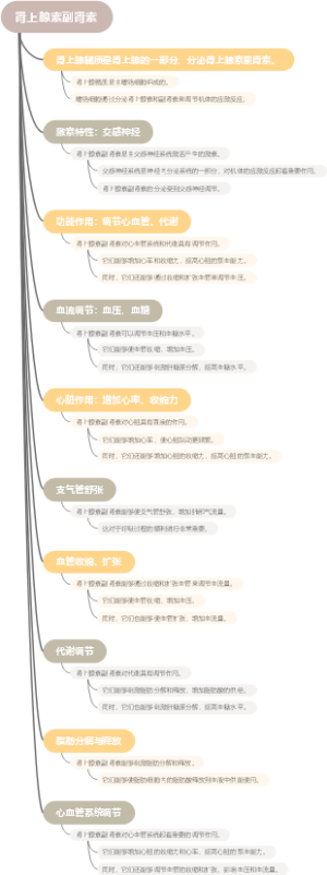 肾上腺素副肾素