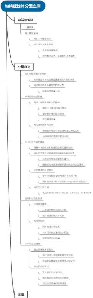 钩端螺旋体分型血清