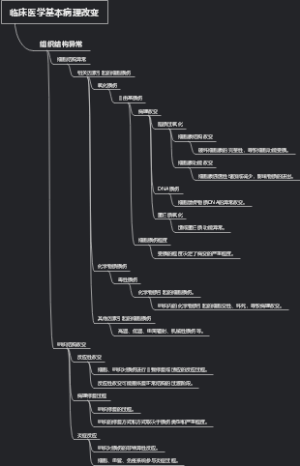 临床医学基本病理改变