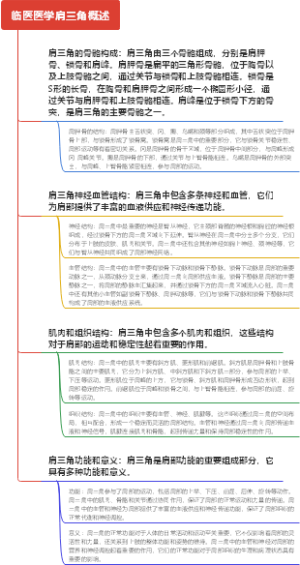 临医医学肩三角概述