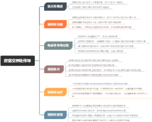 房室交界处传导