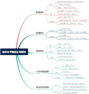 临床医学胸部正常解剖