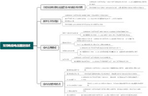 双微电极电压固定技术