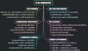 体表心电图标测导联